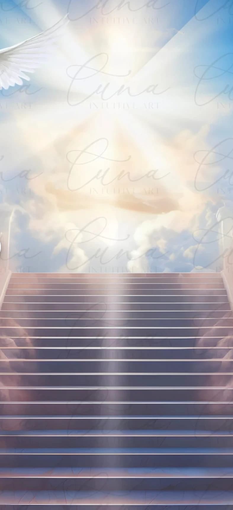 Yazmin Stafford memorial cover