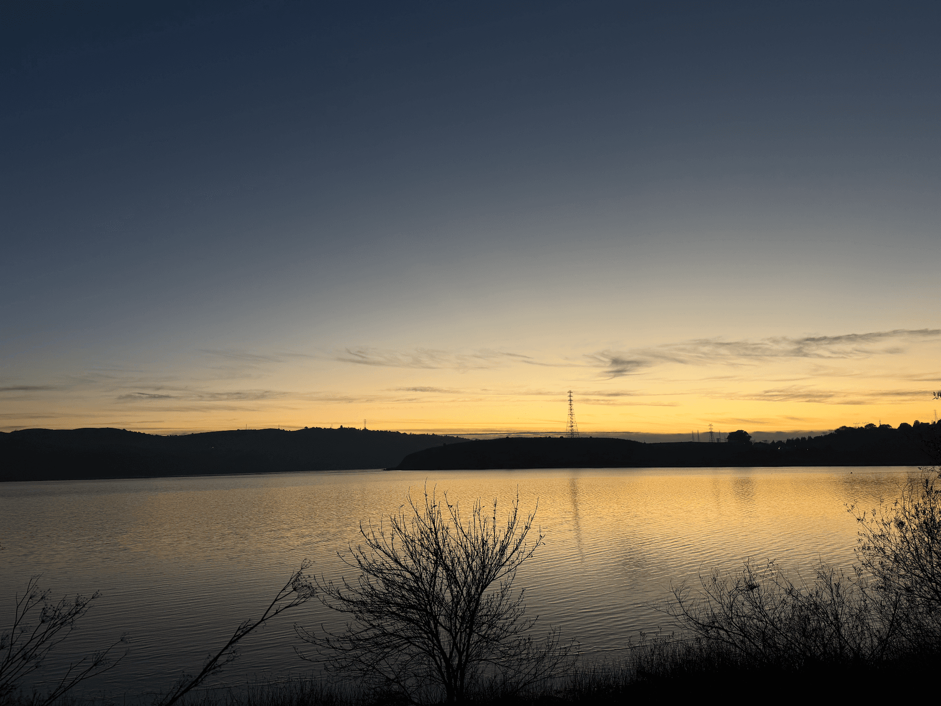 Cover photo for Patty Carter memorial