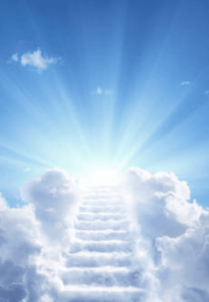 Bill Ferguson memorial cover