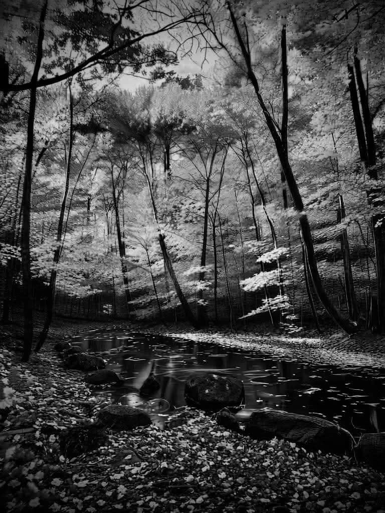 Aaron DerHammer memorial cover